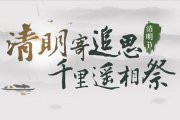 清明節(jié)專題活動(dòng)策劃方案